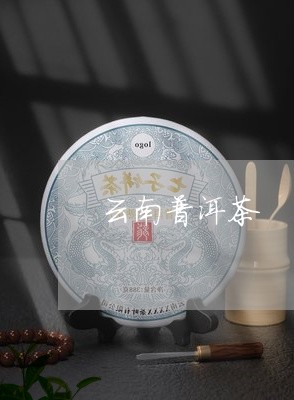 云南普洱茶 葫芦/2023041114038